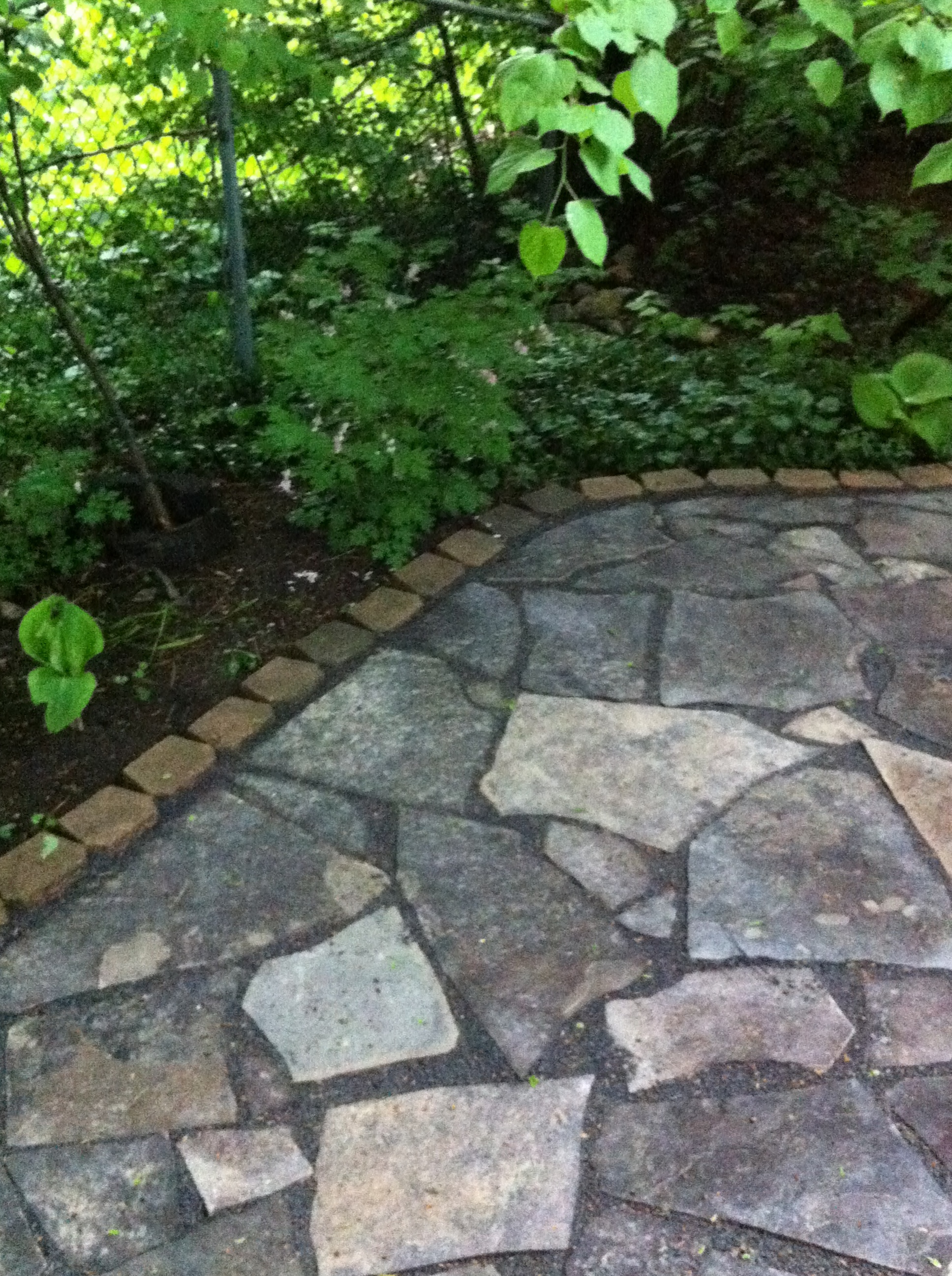 We worked carefully around trees, shrubs and ground cover. I also added some Hostas and other shade-loving plants.